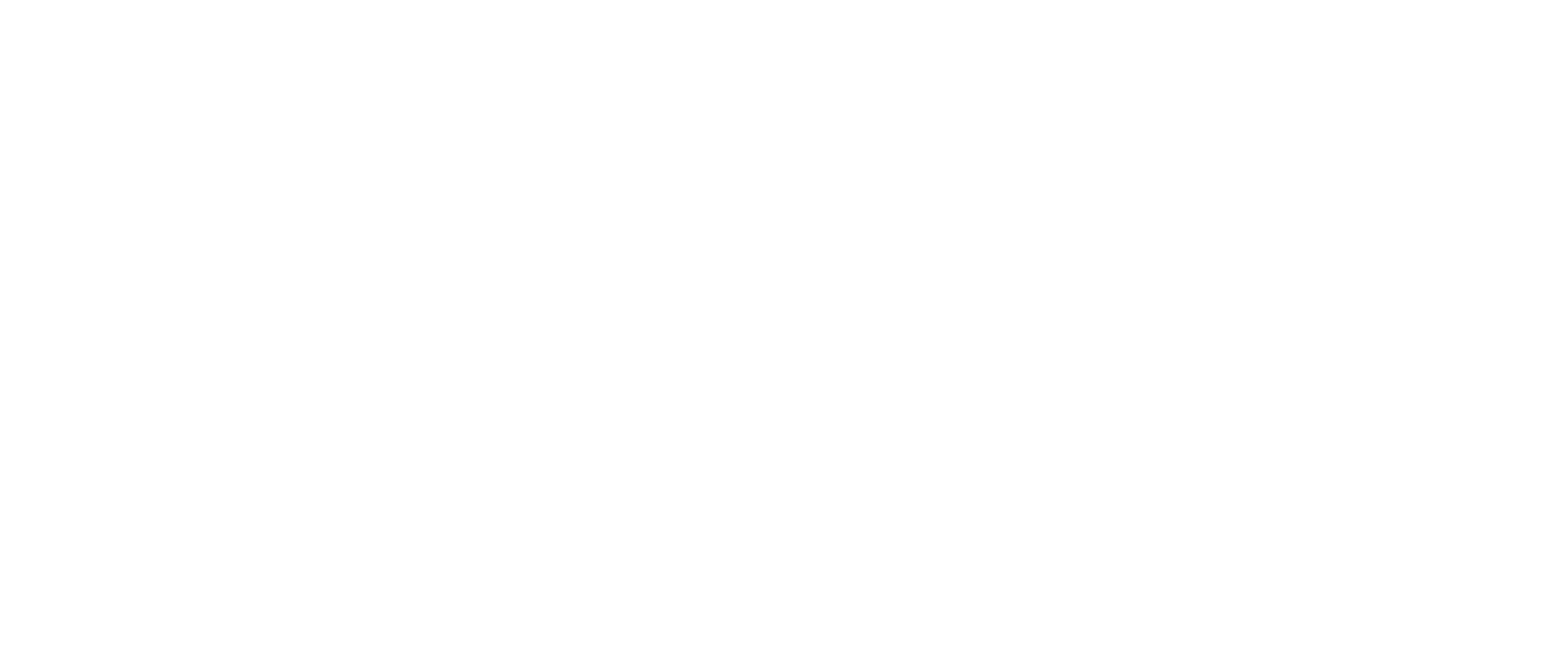 Header Text White